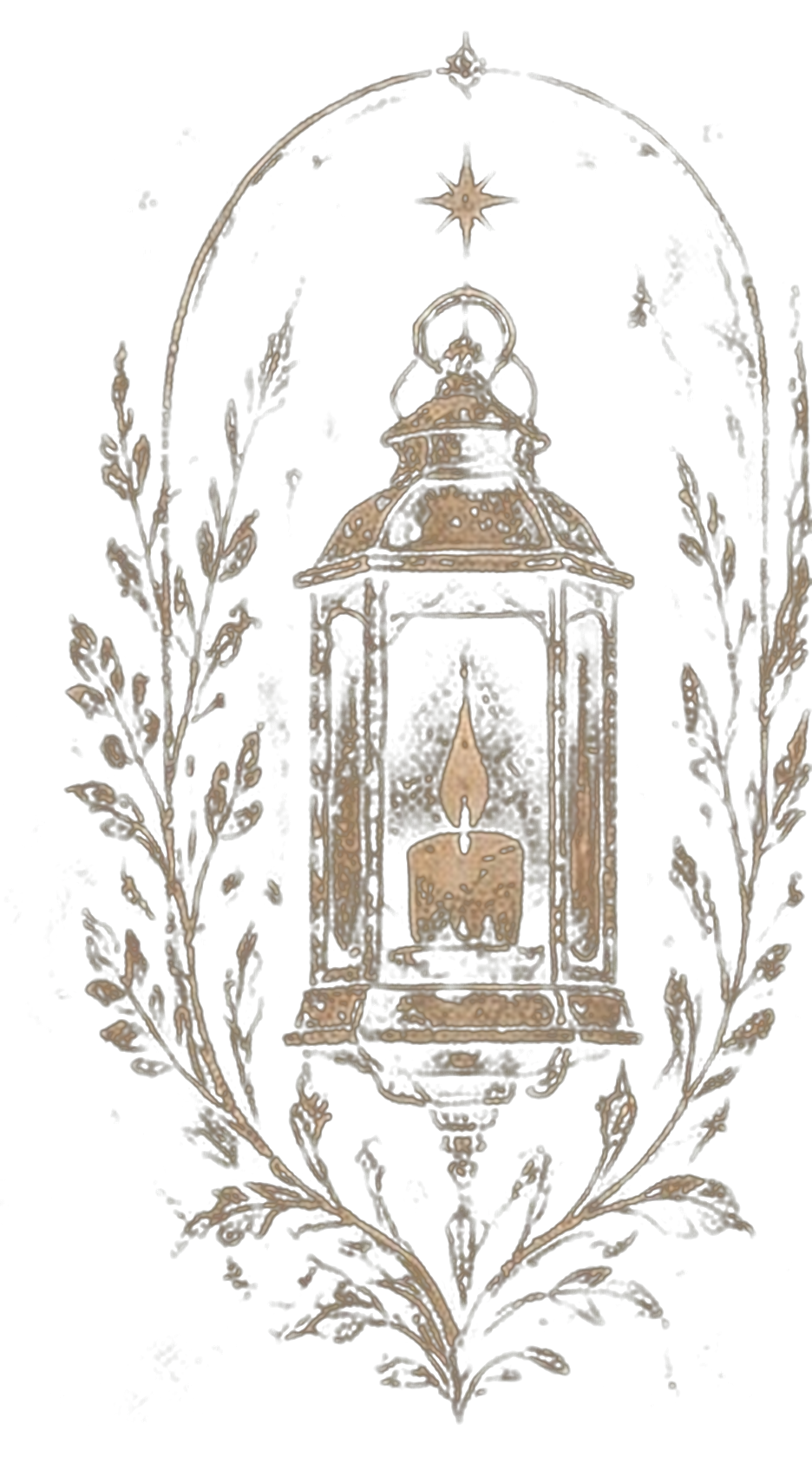 Antique lantern and botanical engraving